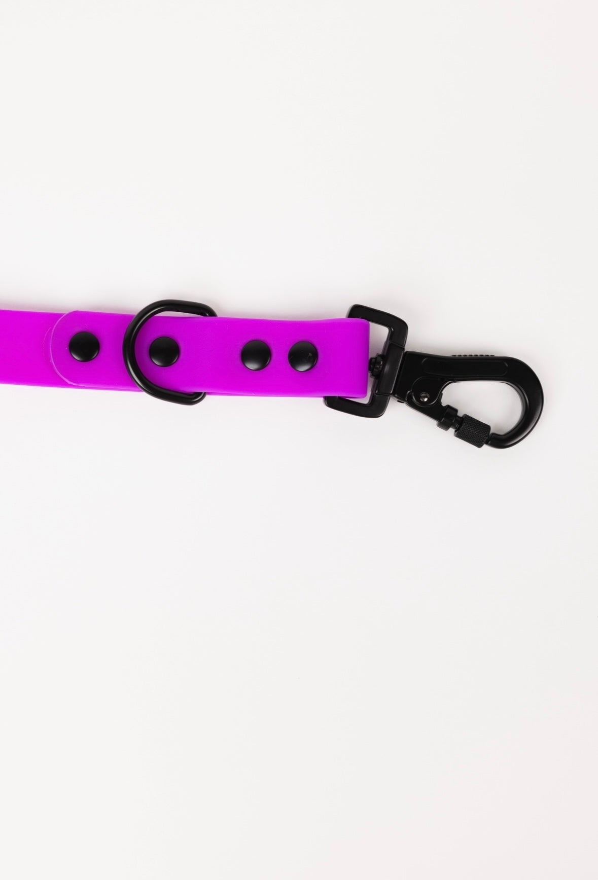 Dog Leash Leash Electric Fuchsia Everyday Walking Leash - gallery product image for dog leash
