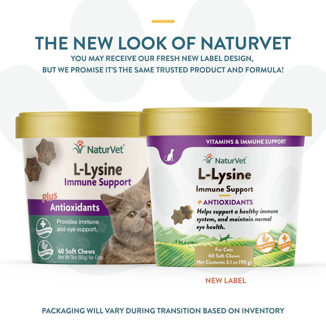 NaturVet Immune L-Lysine Support Cat Chews (60ct) (3.1oz) - detail view