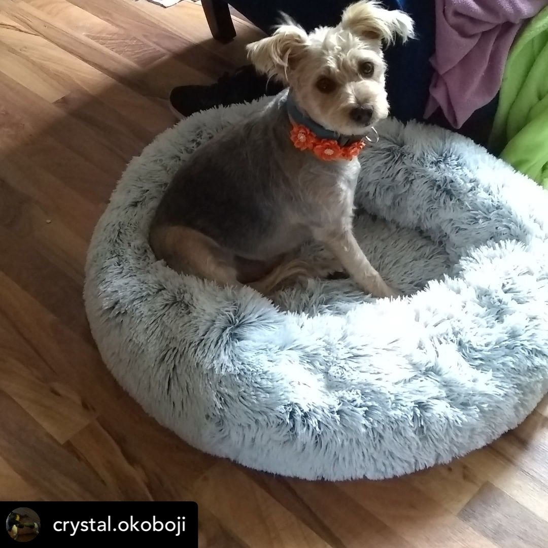Mr. Peanut's 28" OrthoPlush� Pet Bed - Snowflake White Two Tone - gallery image 38