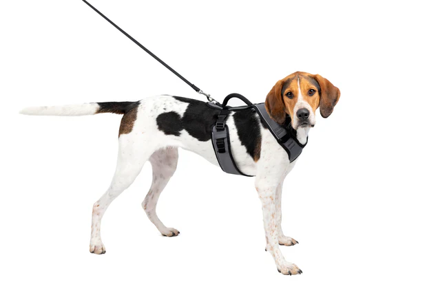 Petsafe Easysport Harness Charcoal Lg Adjustable Dog Walking - main product image