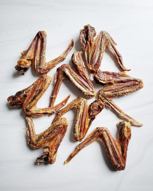 Duck Wings Abf Dog Treats Premium Premium Pet Supply - main product image