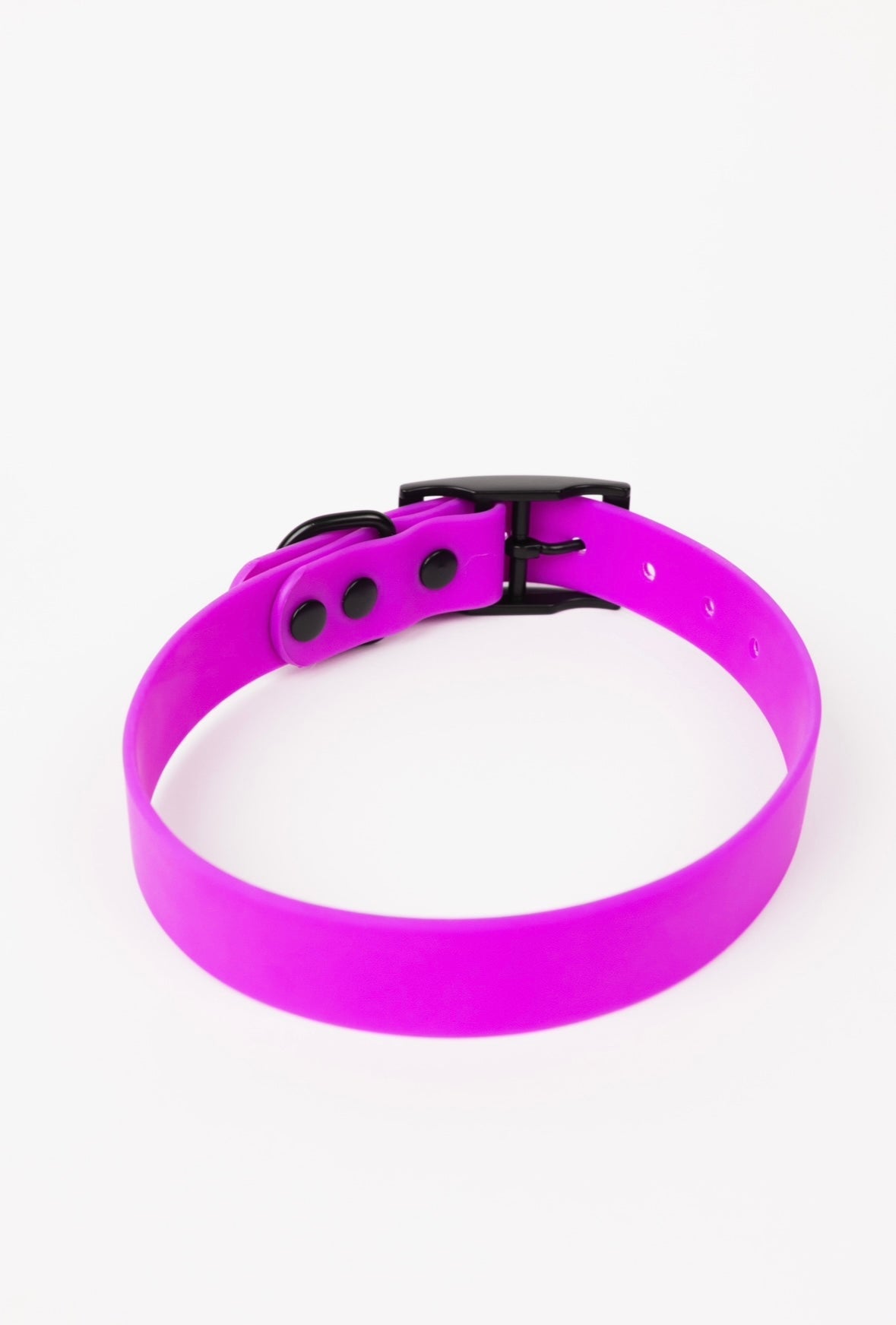Dog Collar Collar Electric Fuchsia Adjustable Walking Collar - lifestyle product image for dog collar