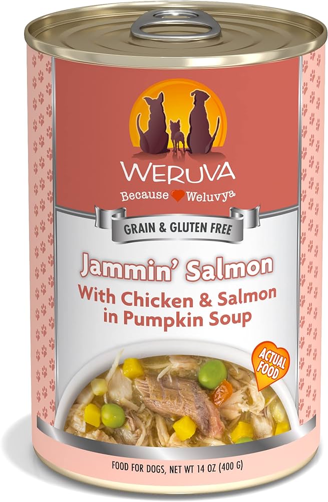 Wet Dog Food Weruva Salmon Recipe 14oz Daily Meals Premium - main product image