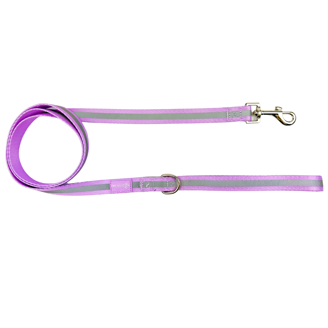 Pet Leash Leash Shine Bright Amethyst Leash for Daily Use - main product image for pet leash