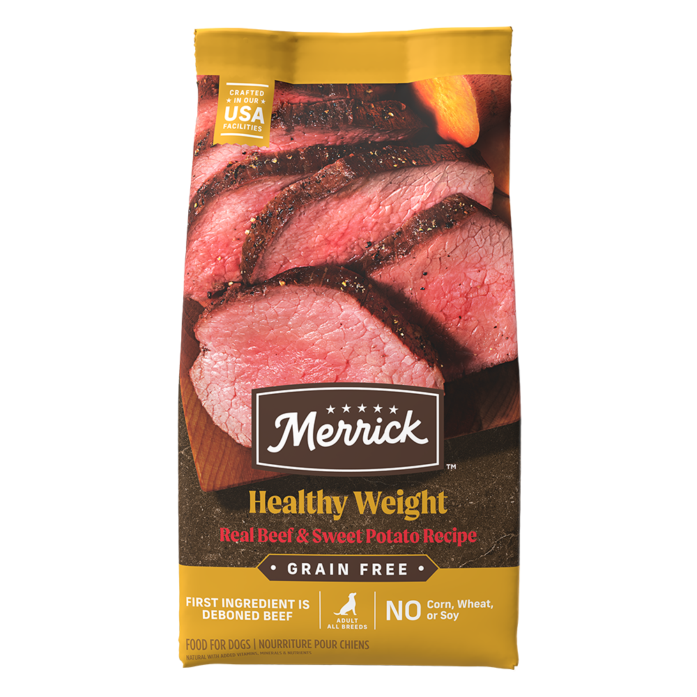 Dry Dog Food Premium Beef Recipe 22lb Daily Nutrition Premiu - main product image