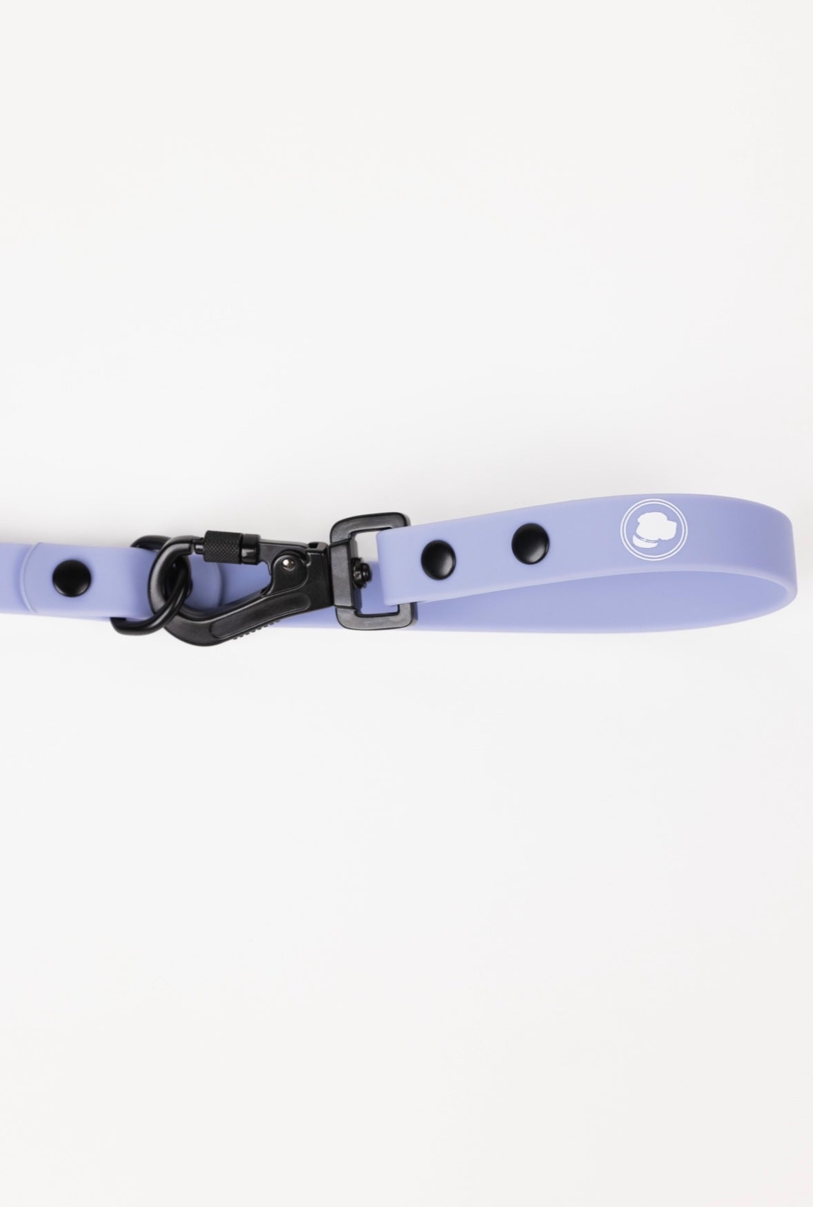 Dog Leash Accessory Lavender Purple Everyday Accessory Essen - lifestyle product image for dog leash