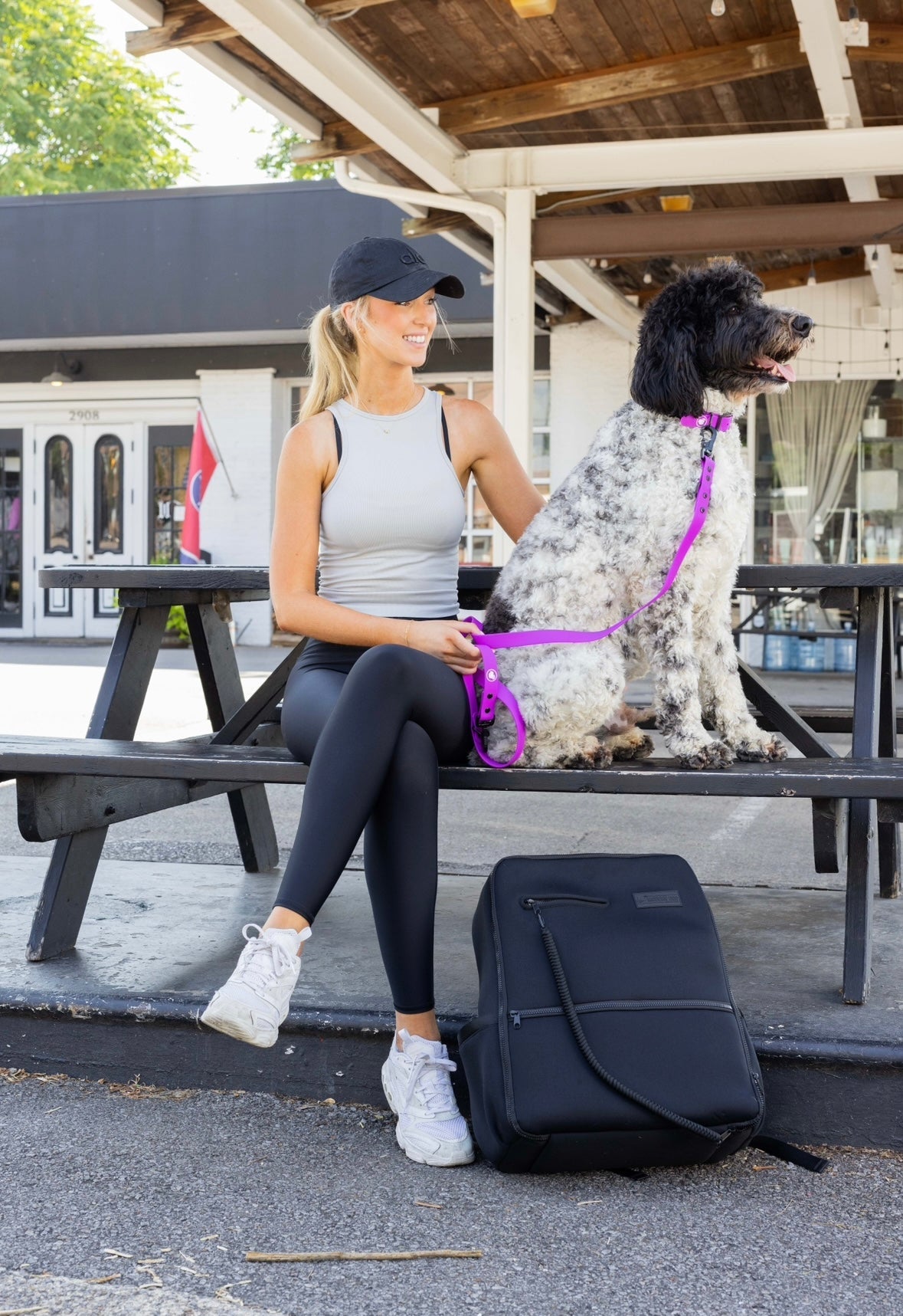 Dog Leash Leash Electric Fuchsia Everyday Walking Leash - gallery product image for dog leash