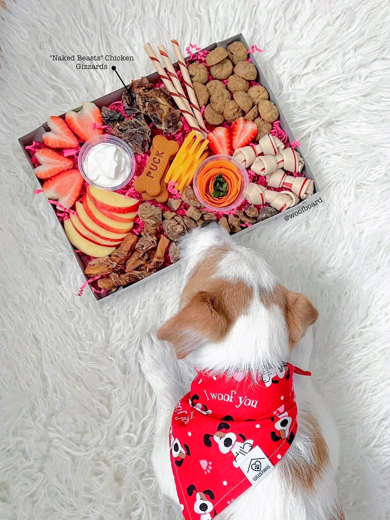 Chicken Gizzards Dog Treats Premium Premium Pet Supply - detail view