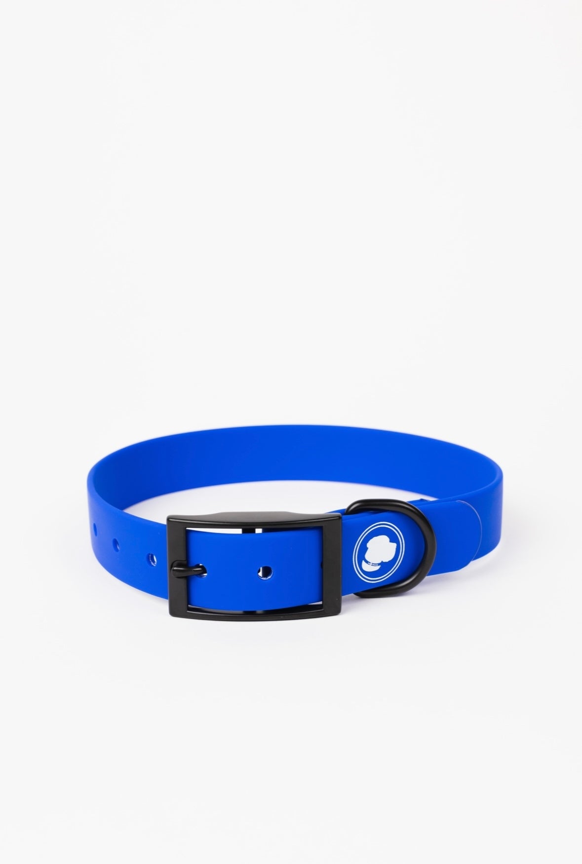 Dog Collar Collar Blue Weather Adjustable Walking Collar - main product image for dog collar