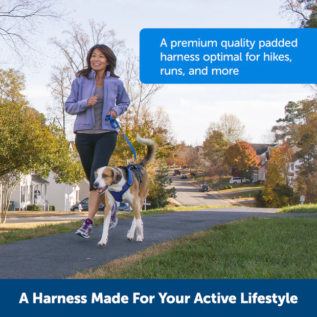 Petsafe Easysport Harness Teal Md Adjustable Dog Walking - gallery image 5