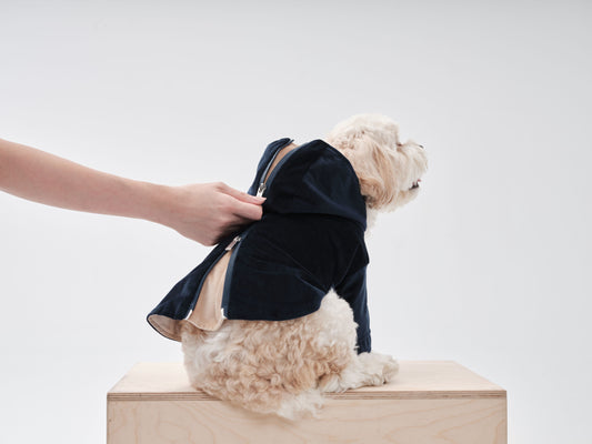 Huston Hoodie Midnight Blue Dog Apparel Premium Pet Supply - detail view