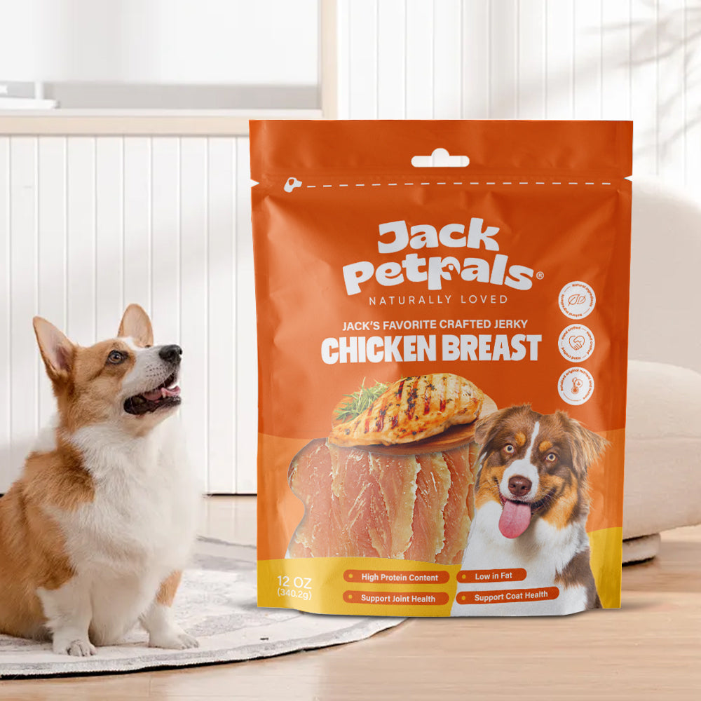 Dog Treats Jack PetPals Handcrafted Jerky Chicken Breast - lifestyle product image for dog treats
