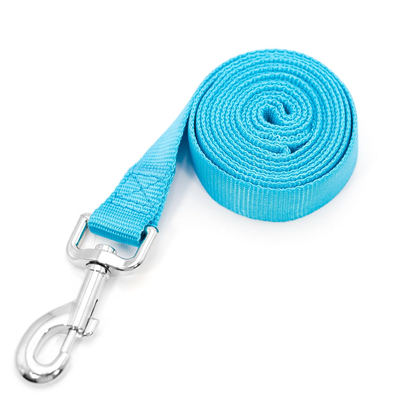 1 Ply Web Nylon Dog Leashes Adjustable Dog Walking - lifestyle view