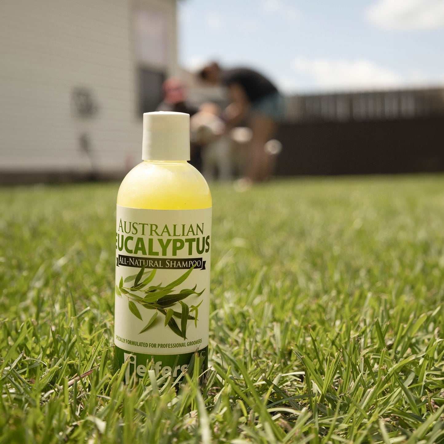 Australian Eucalyptus All Natural Dog Shampoo Aids & - lifestyle view