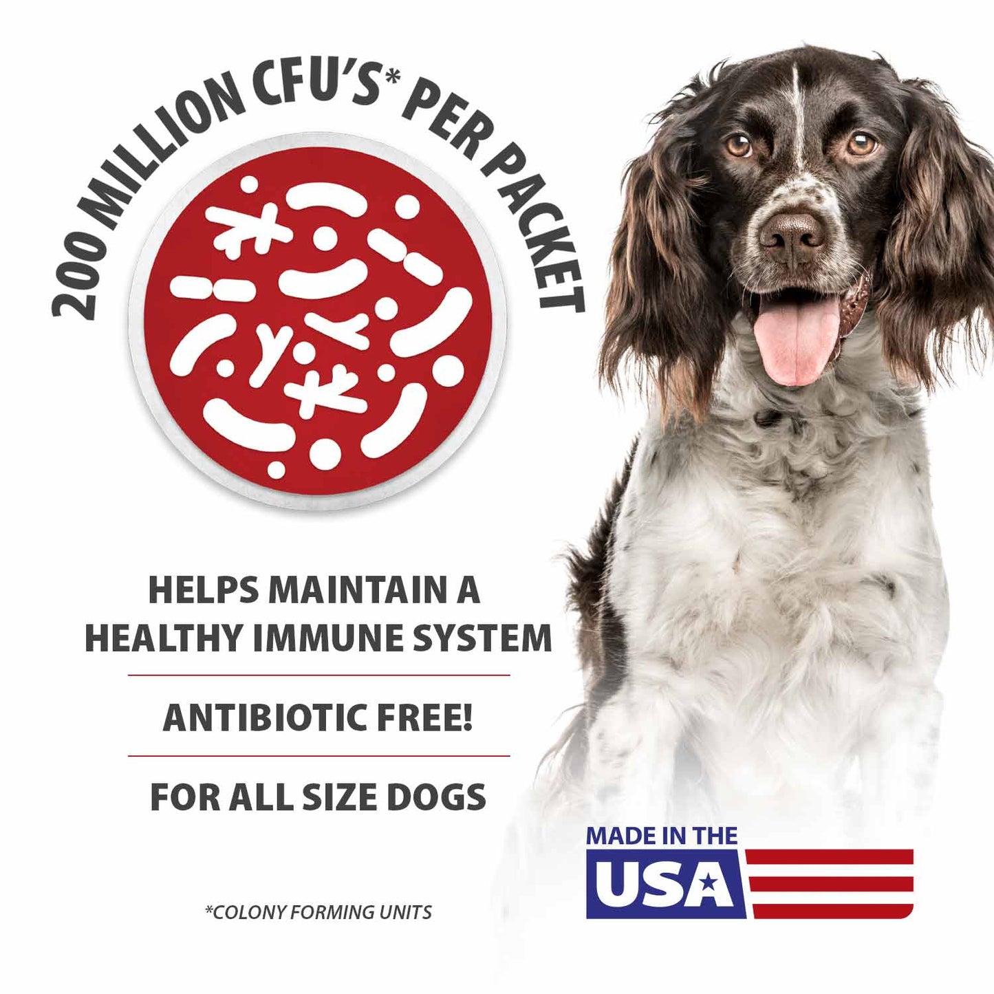 Belly Buddy Probiotic Supplement Powder For Dogs Pet - gallery image 5