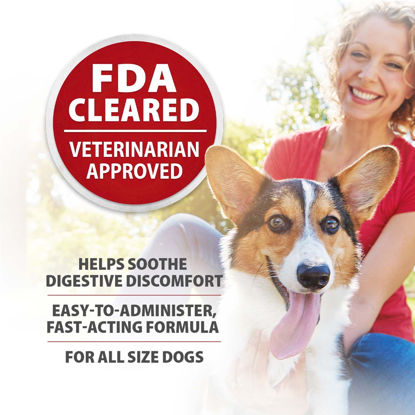 Diawin Digestive Support For Dogs Bismuth Tummy For - gallery image 5