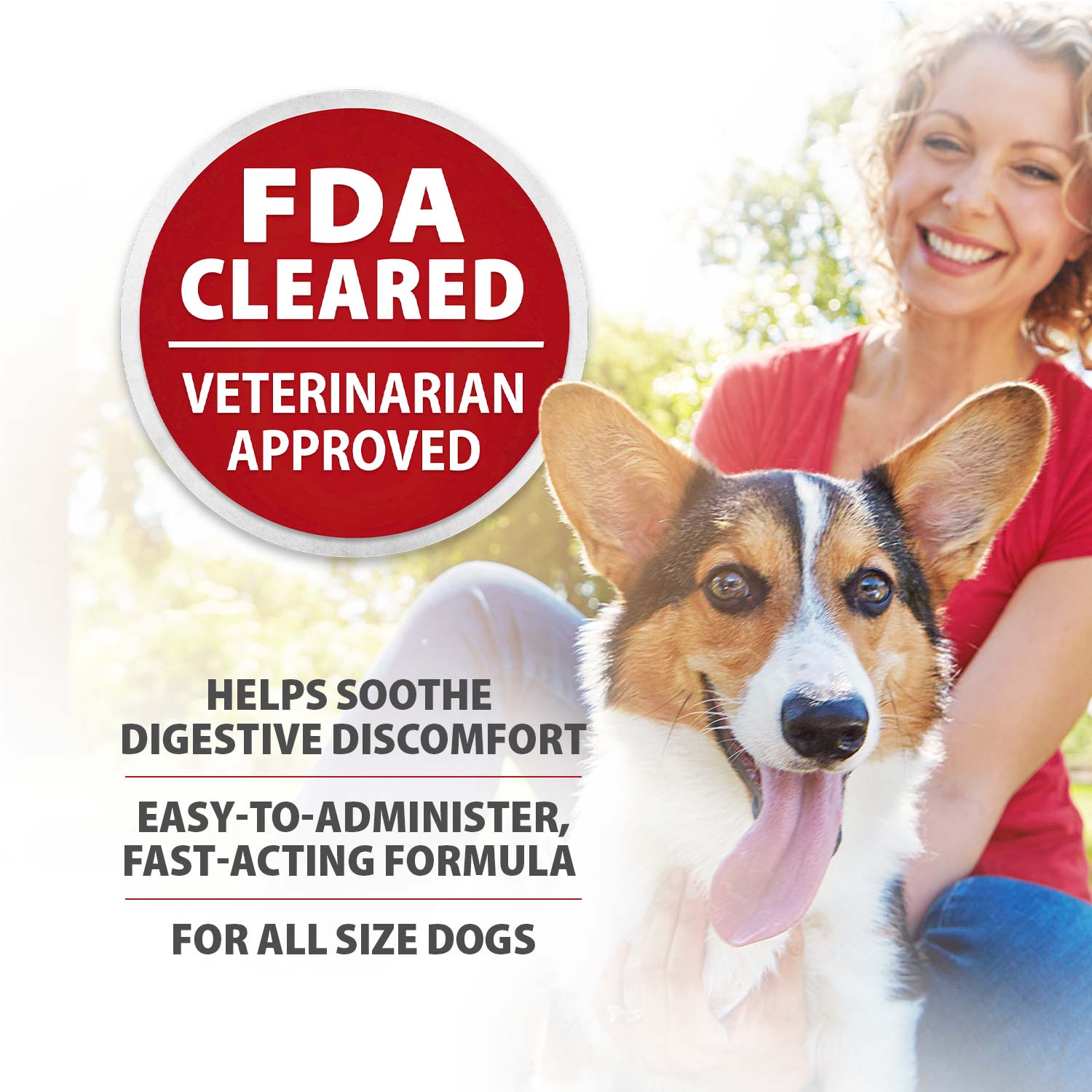 Diawin Digestive Support For Dogs Bismuth Tummy For - gallery image 5