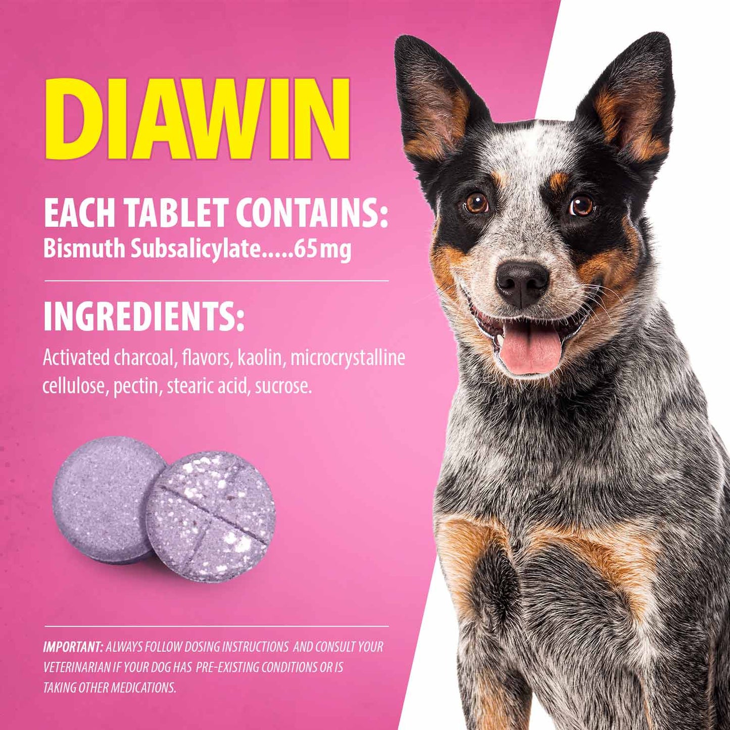 Diawin Digestive Support For Dogs Bismuth Tummy For - detail view