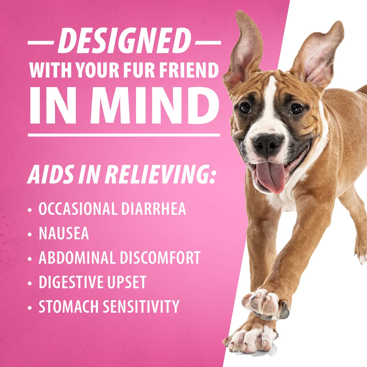Diawin Digestive Support For Dogs Bismuth Tummy For - close up view