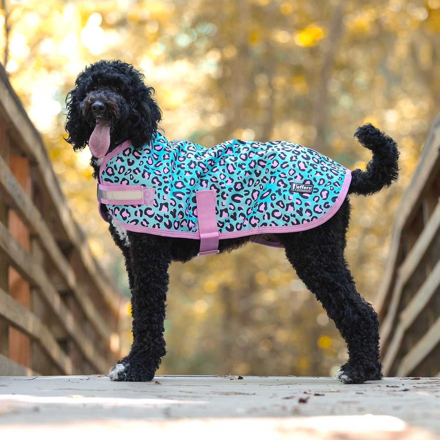 Expression 600D Waterproof Ripstop Dog Coat 240 Gram - detail view