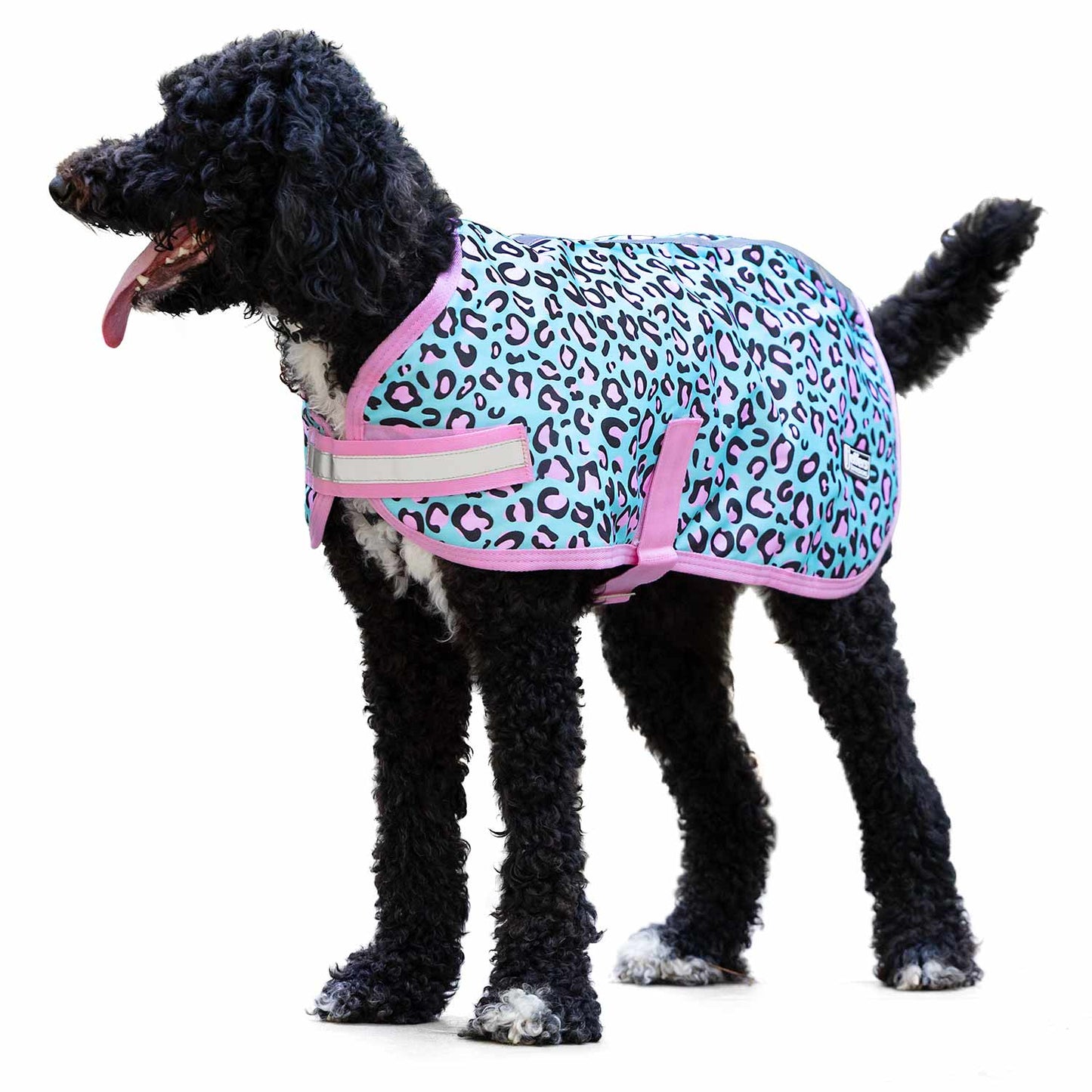 Expression 600D Waterproof Ripstop Dog Coat 240 Gram - main product image