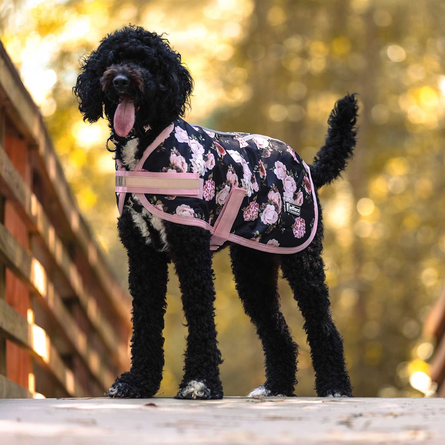 Expression 600D Waterproof Ripstop Dog Coat 240 Gram - gallery image 12