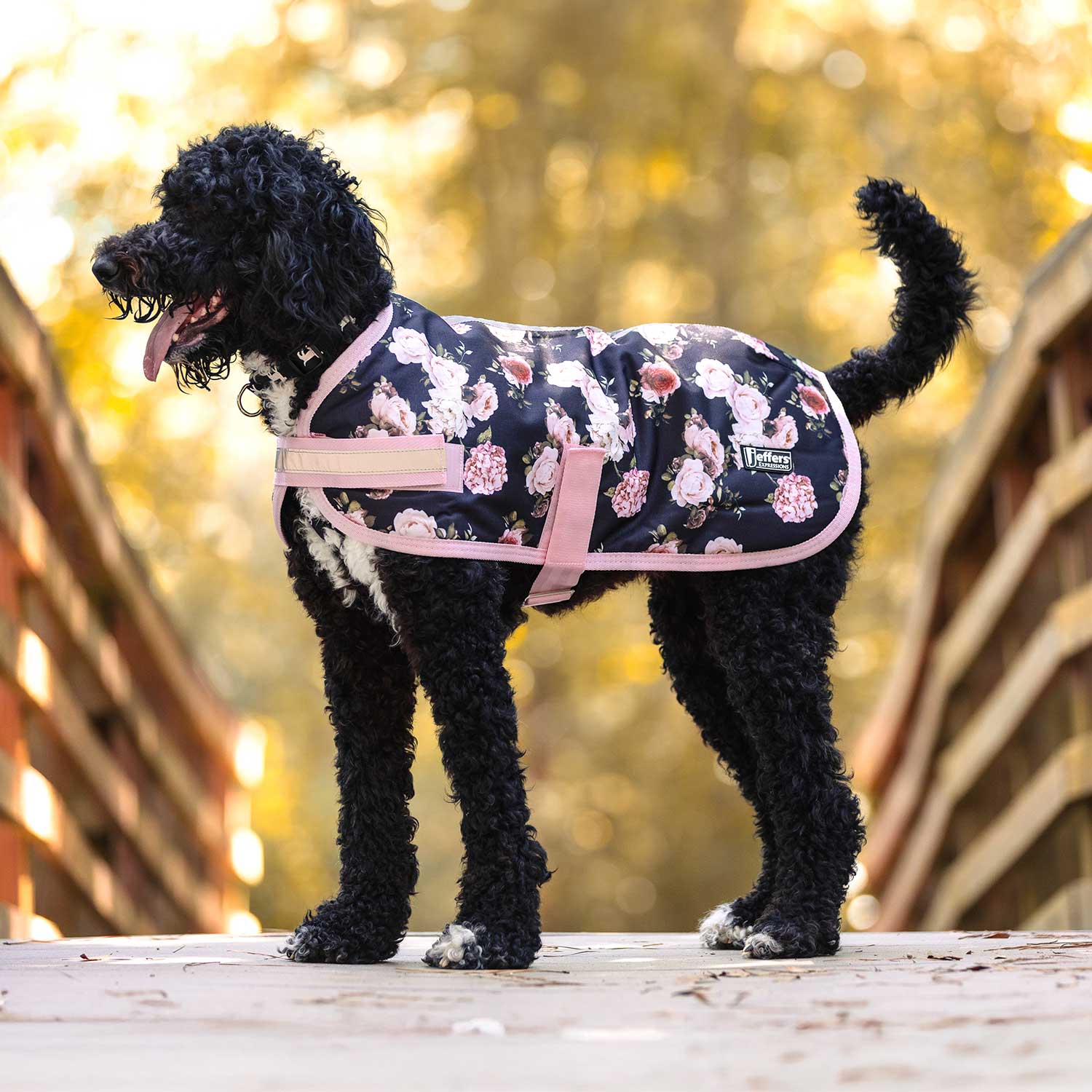 Expression 600D Waterproof Ripstop Dog Coat 240 Gram - gallery image 11