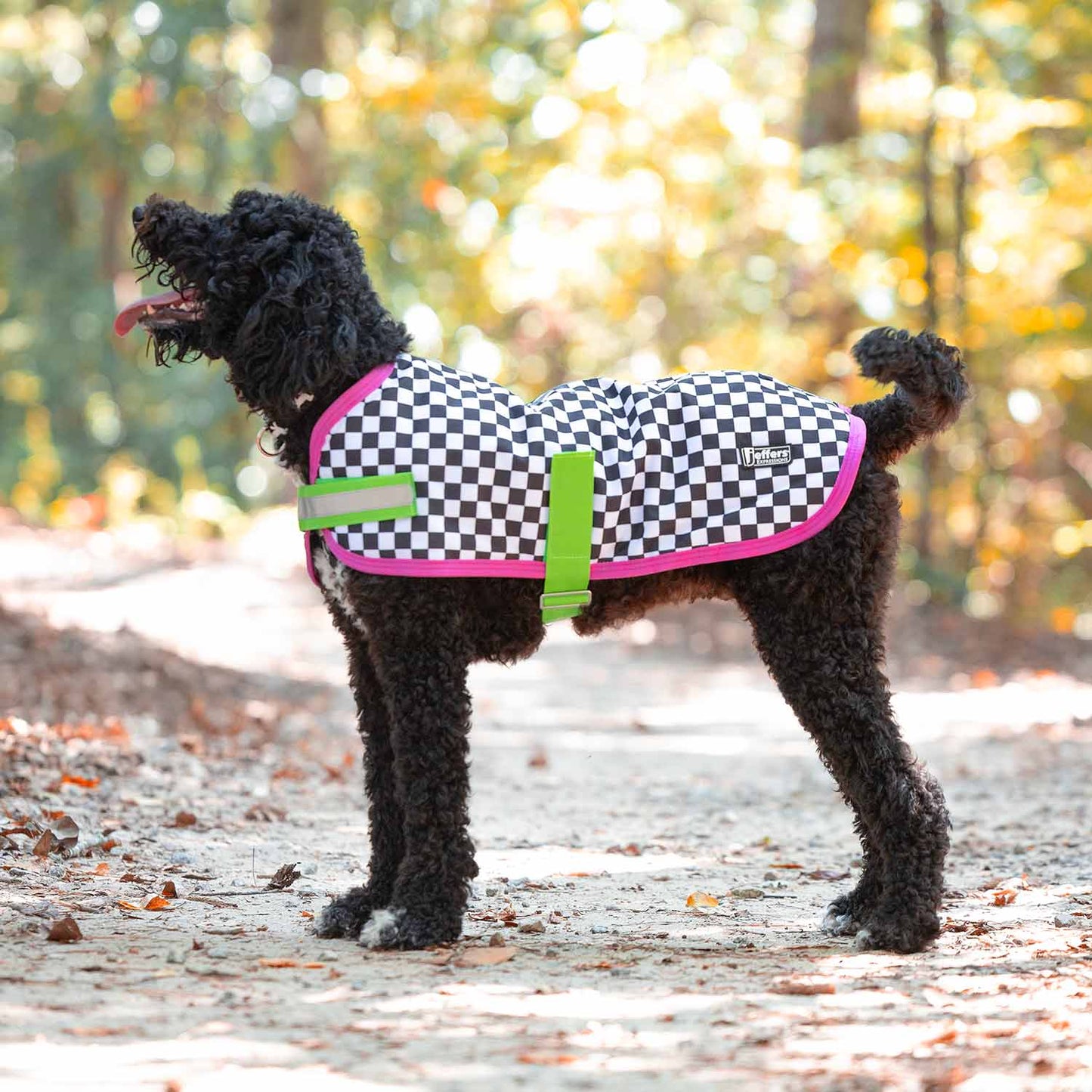 Expression 600D Waterproof Ripstop Dog Coat 240 Gram