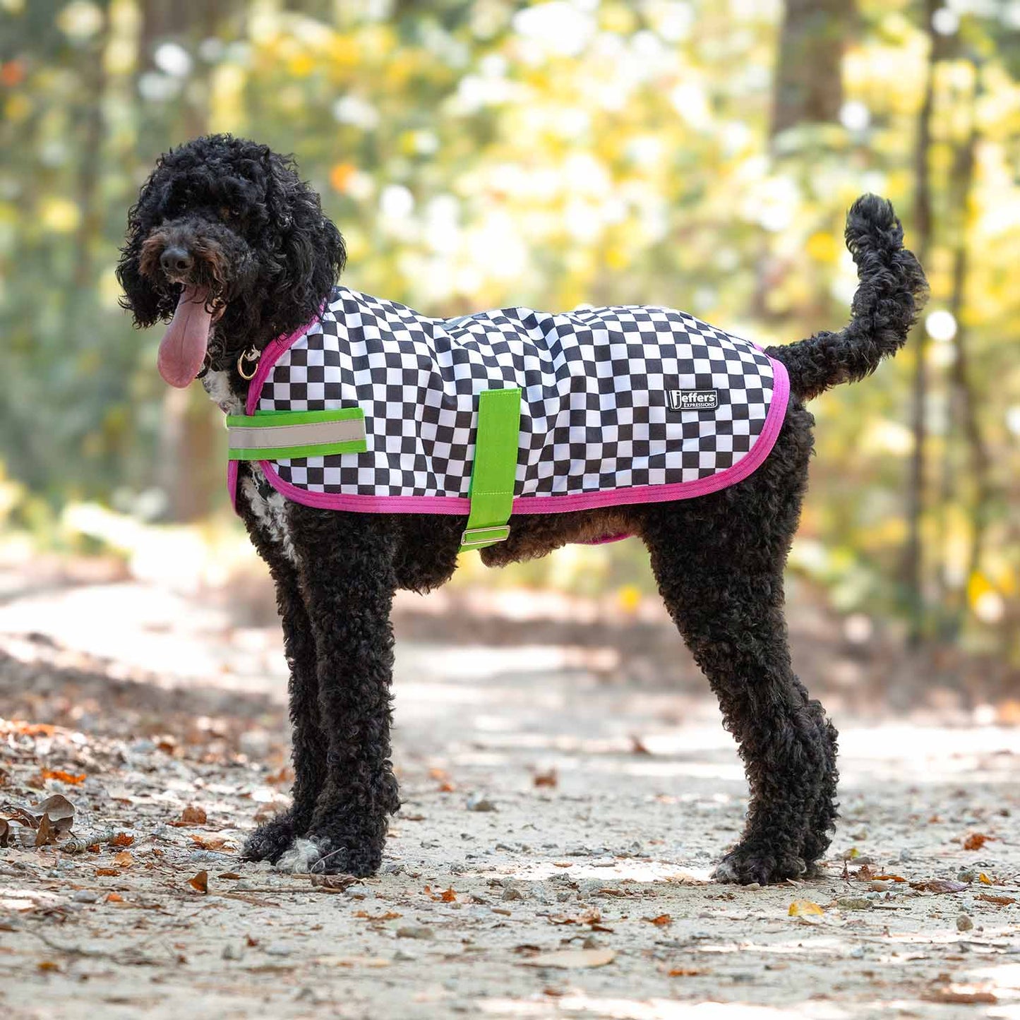 Expression 600D Waterproof Ripstop Dog Coat 240 Gram