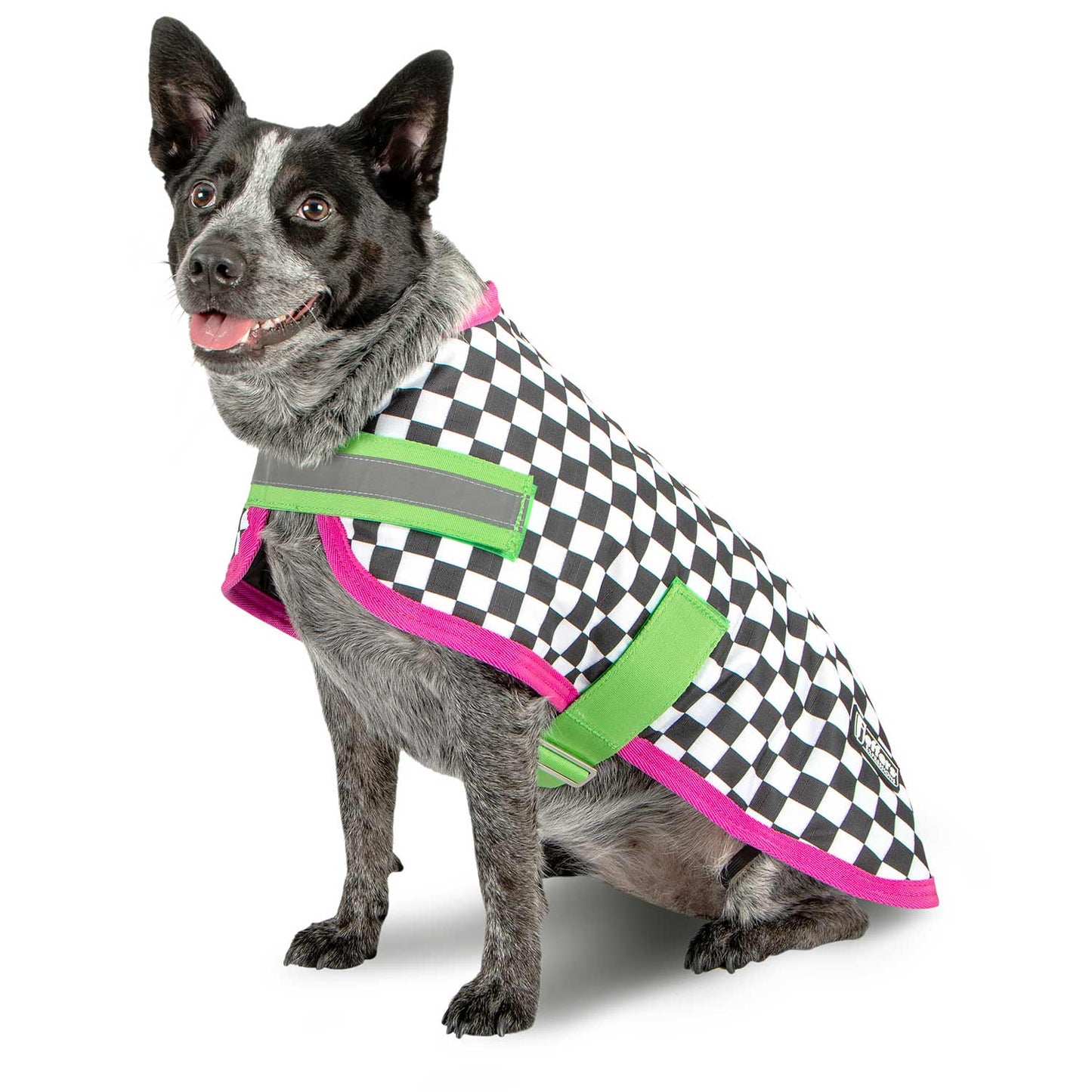 Expression 600D Waterproof Ripstop Dog Coat 240 Gram