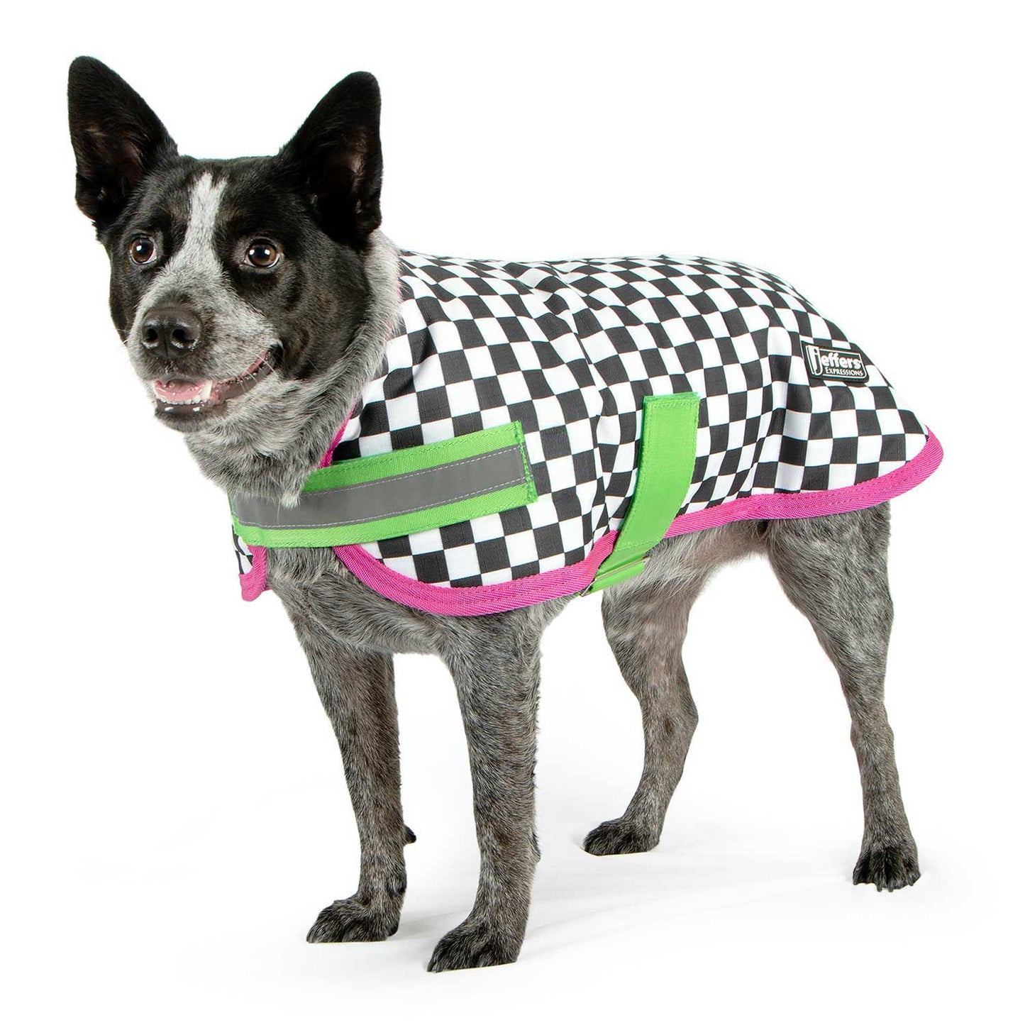 Expression 600D Waterproof Ripstop Dog Coat 240 Gram