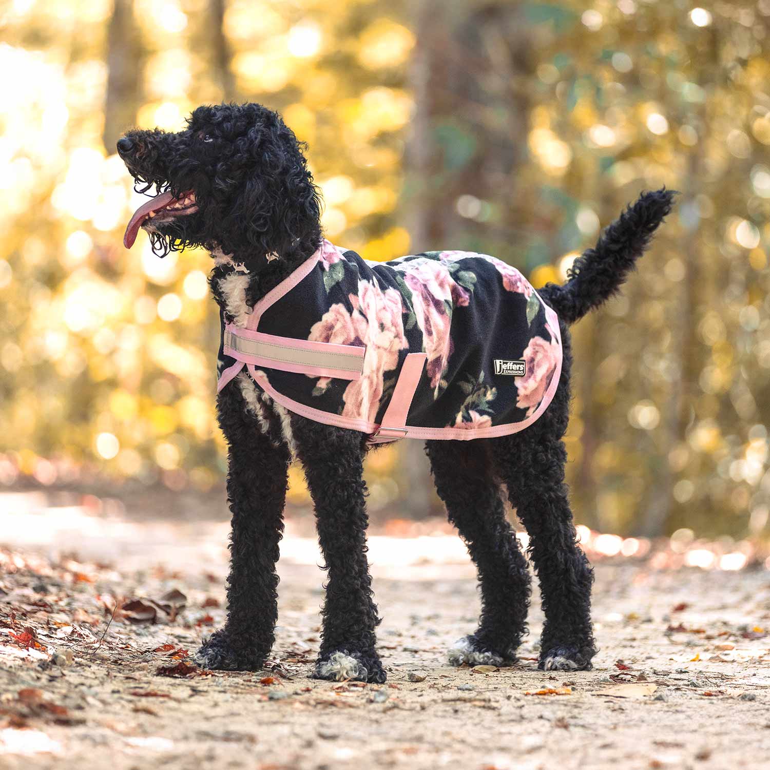 Expression Moisture Wicking Fleece Dog Coat Dog Pet - gallery image 10