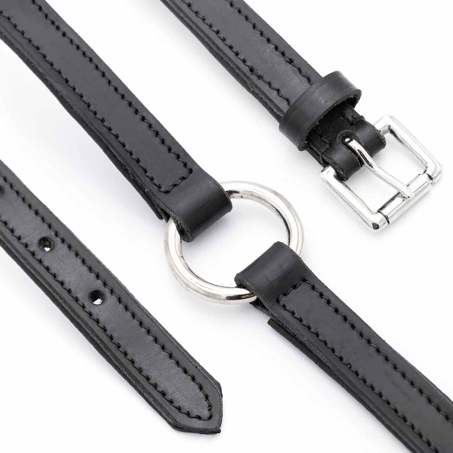 Padded Black Leather Dog Collars With O Ring And Dog - lifestyle view