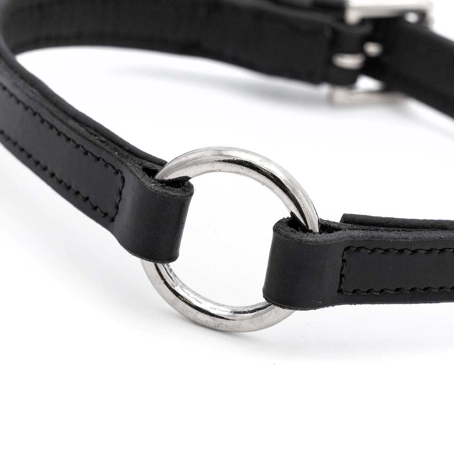 Padded Black Leather Dog Collars With O Ring And Dog - gallery image 5