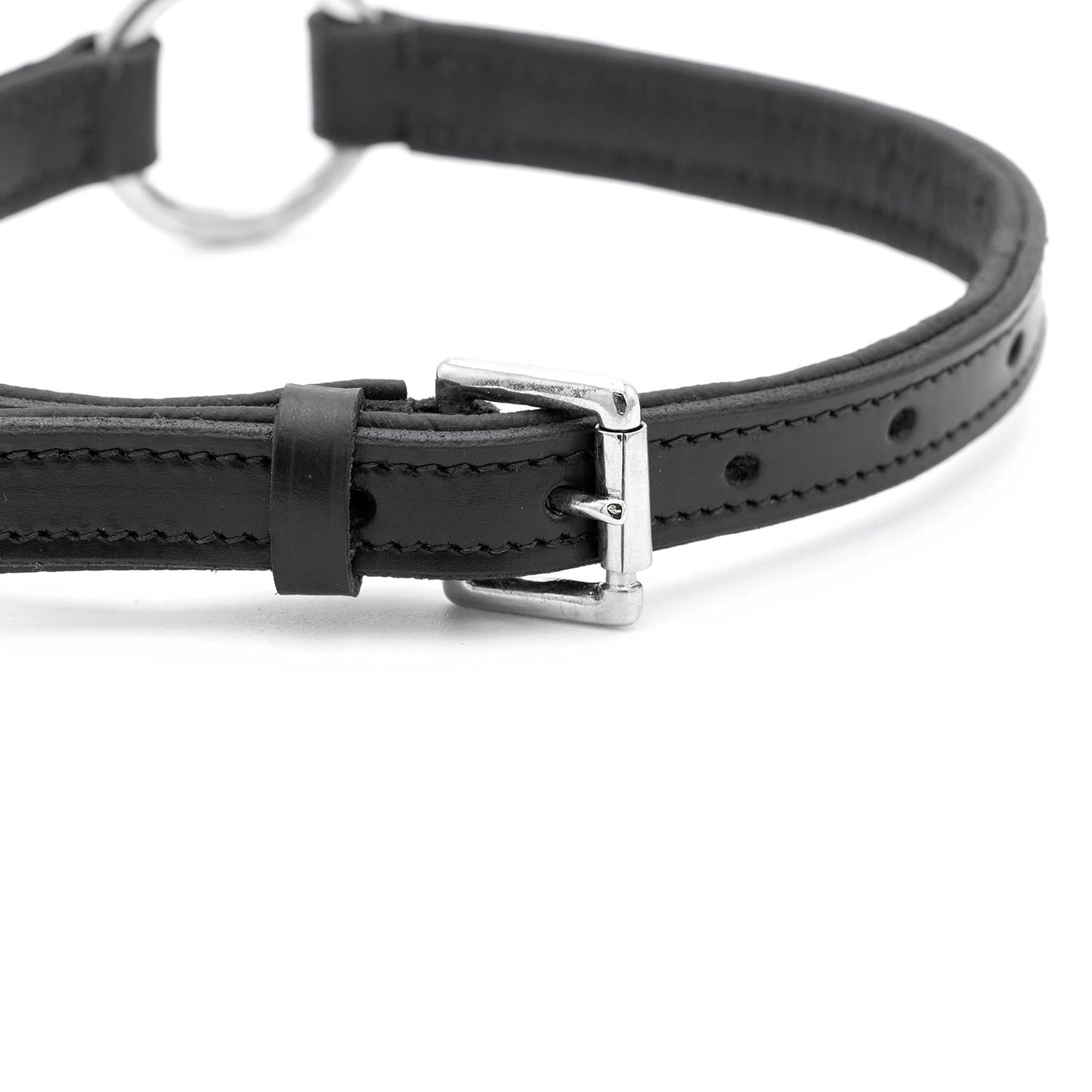 Padded Black Leather Dog Collars With O Ring And Dog - close up view