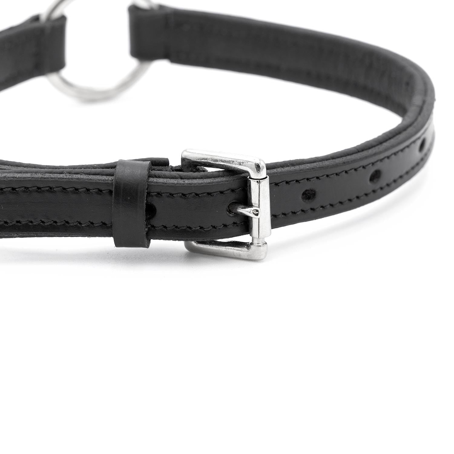 Padded Black Leather Dog Collars With O Ring And Dog - close up view