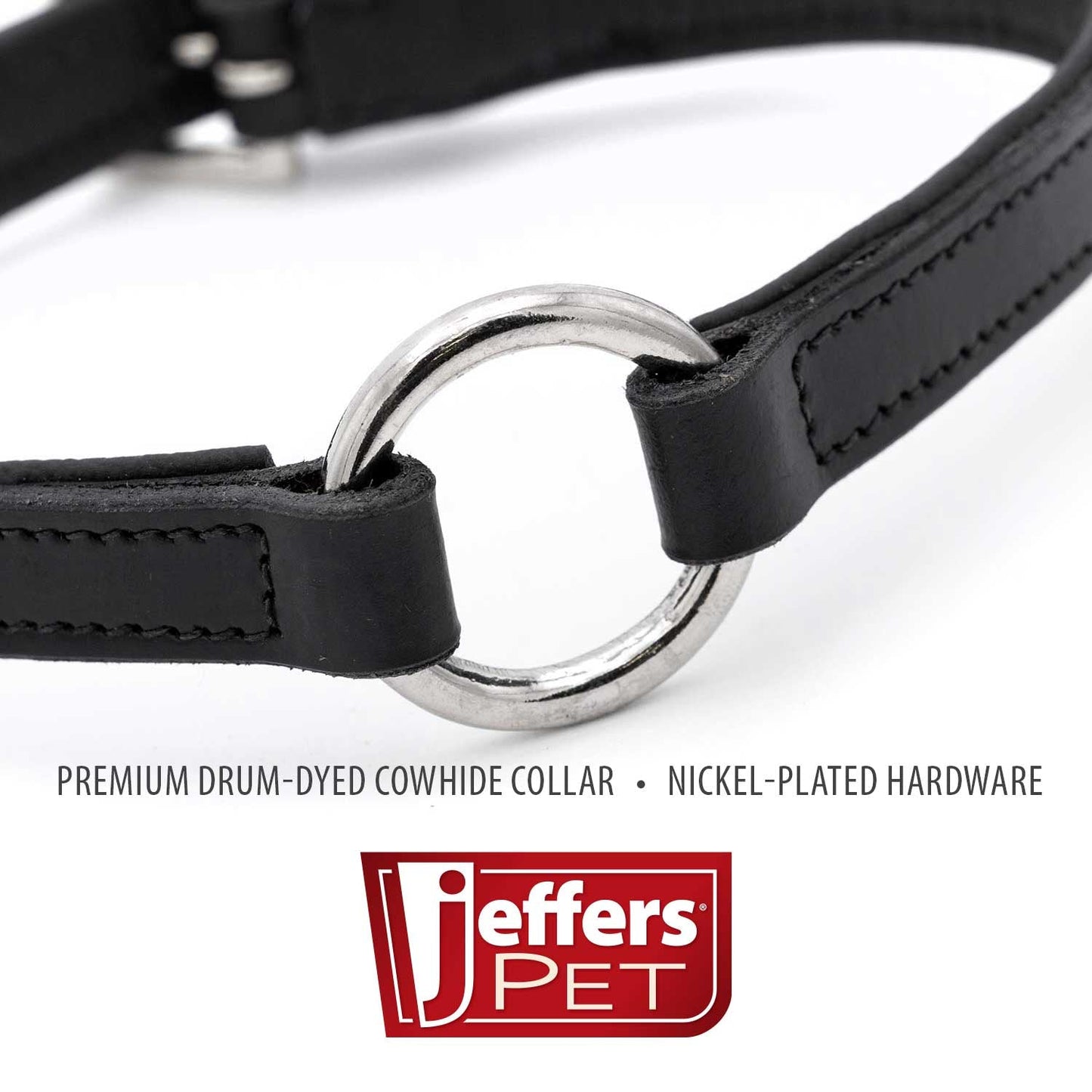 Padded Black Leather Dog Collars With O Ring And Dog - detail view