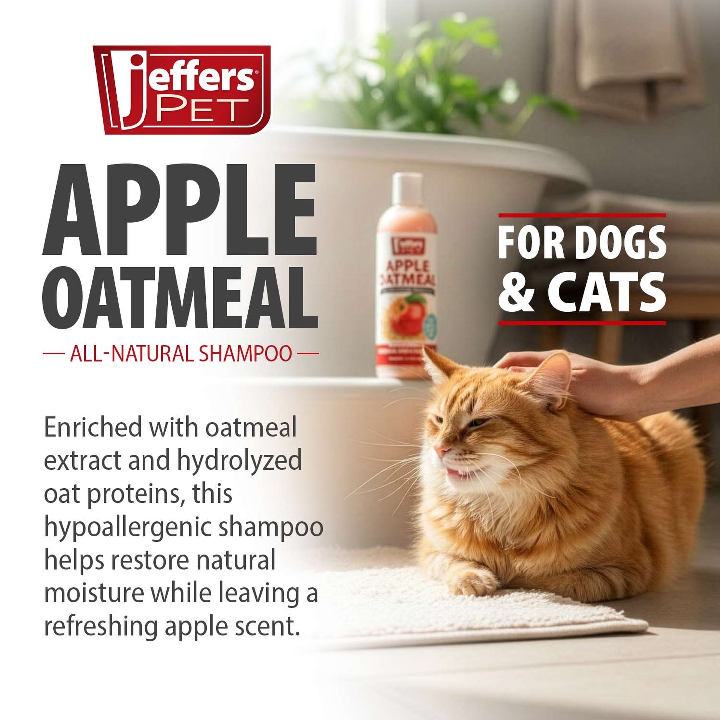 Pet Apple Oatmeal All Natural Hypoallergenic Dry For - gallery image 5