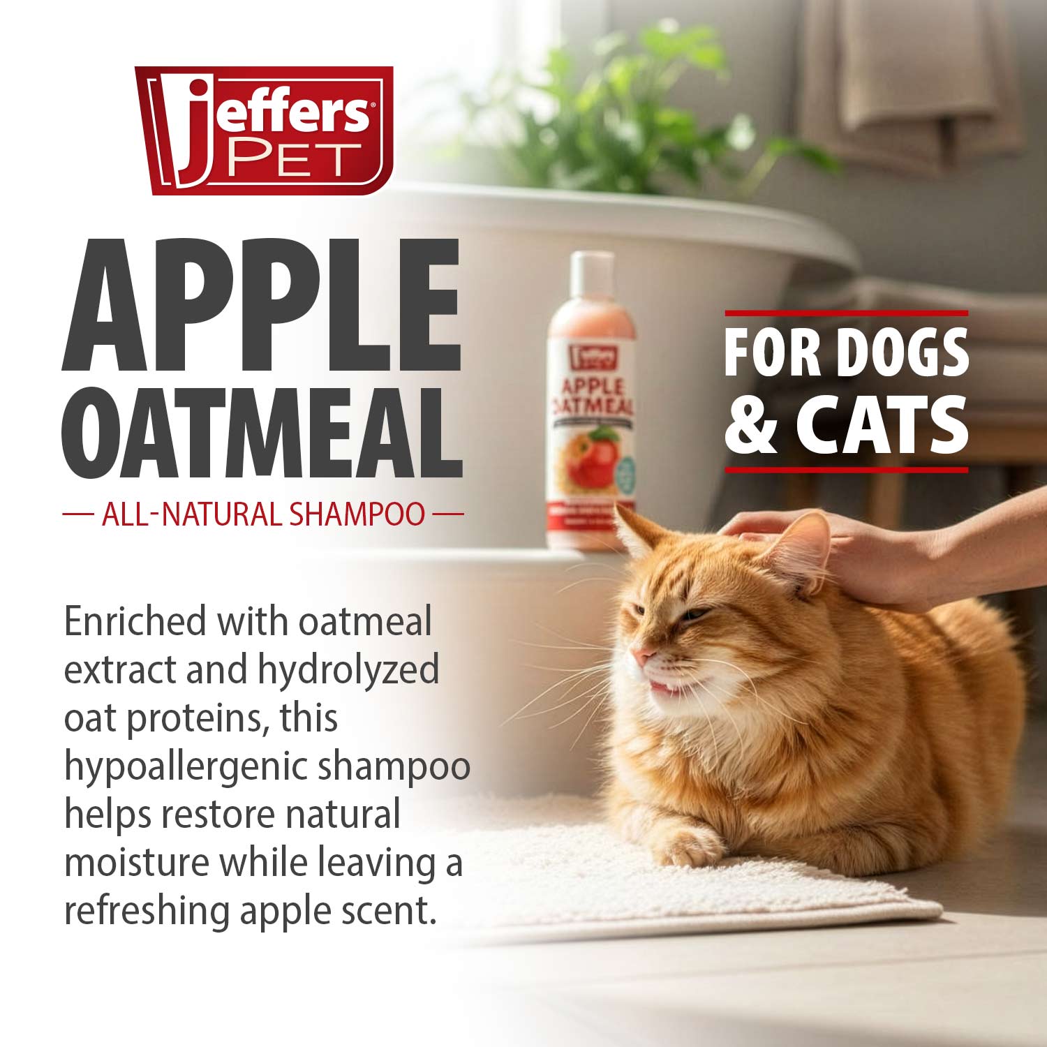 Pet Apple Oatmeal All Natural Hypoallergenic Dry For - gallery image 5