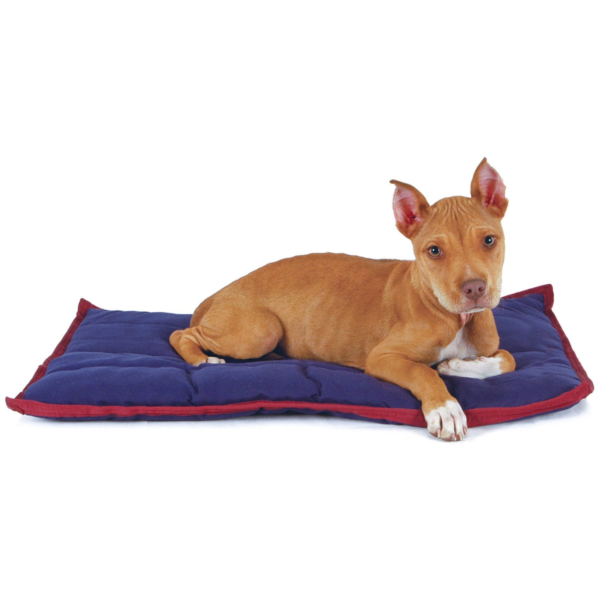 Pet Heated Bed Blanket Jeffers Medium Classic Comfort Premiu - main product image
