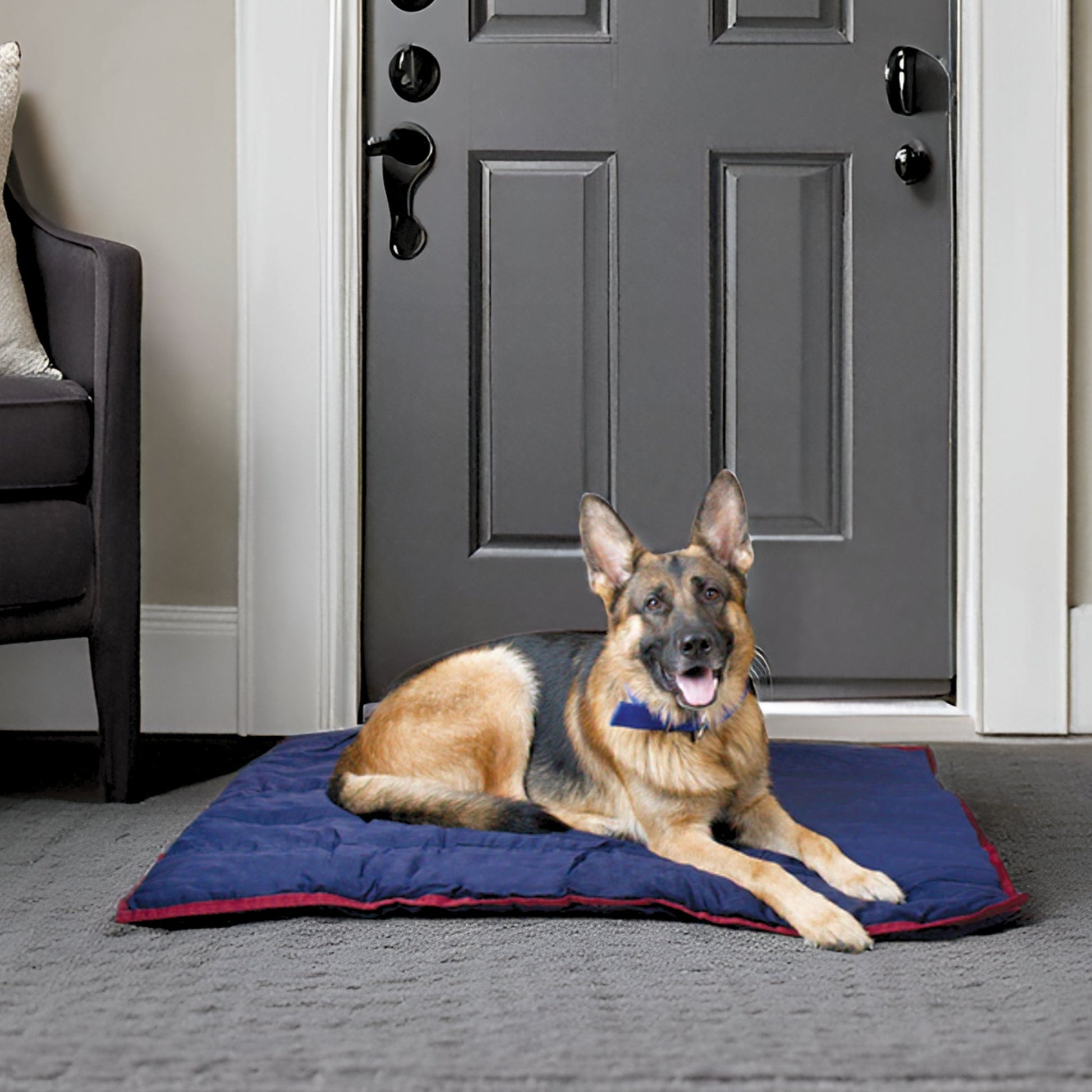 Pet Heated Bed Blanket Jeffers Medium Classic Comfort Premiu - detail view
