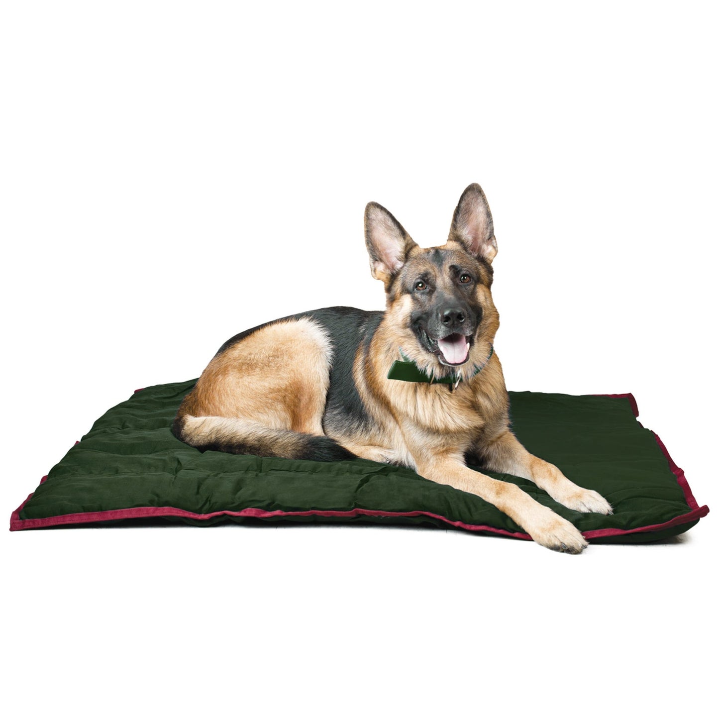 Pet Heated Bed Blanket Jeffers Medium Classic Comfort Premiu - gallery image 9