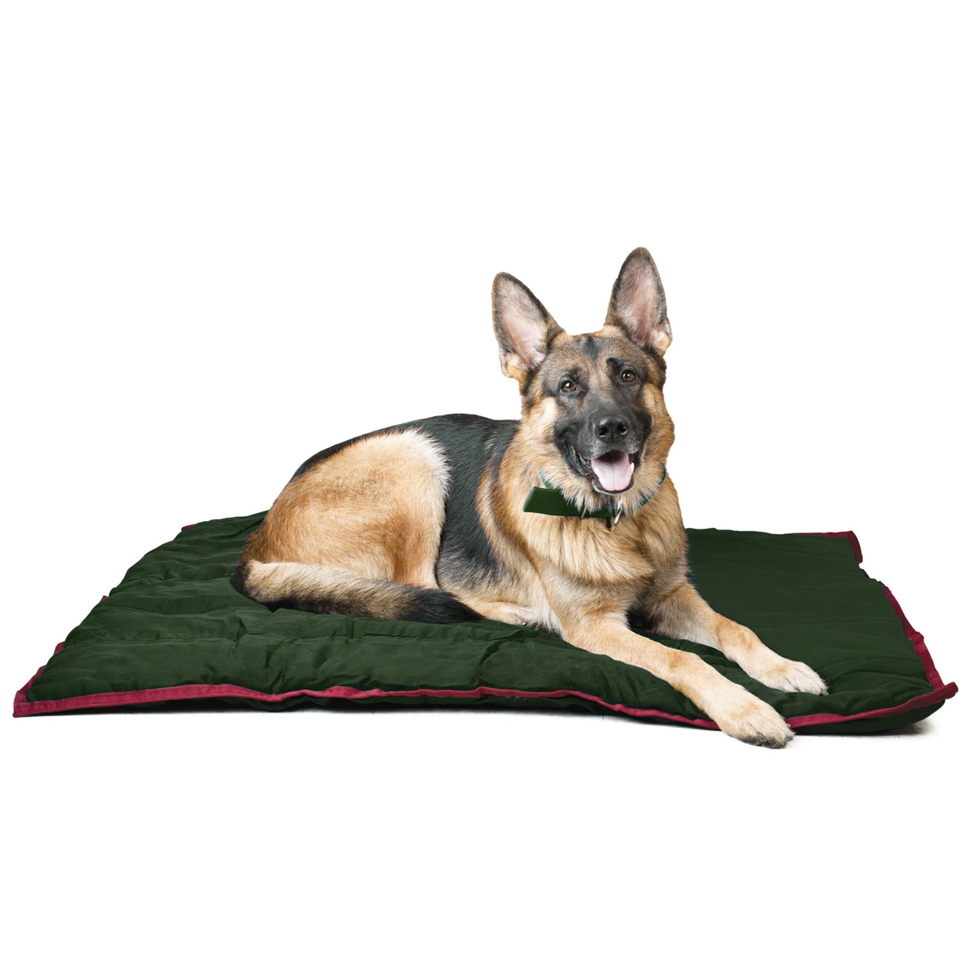 Pet Heated Bed Blanket Jeffers Medium Classic Comfort Premiu - gallery image 9