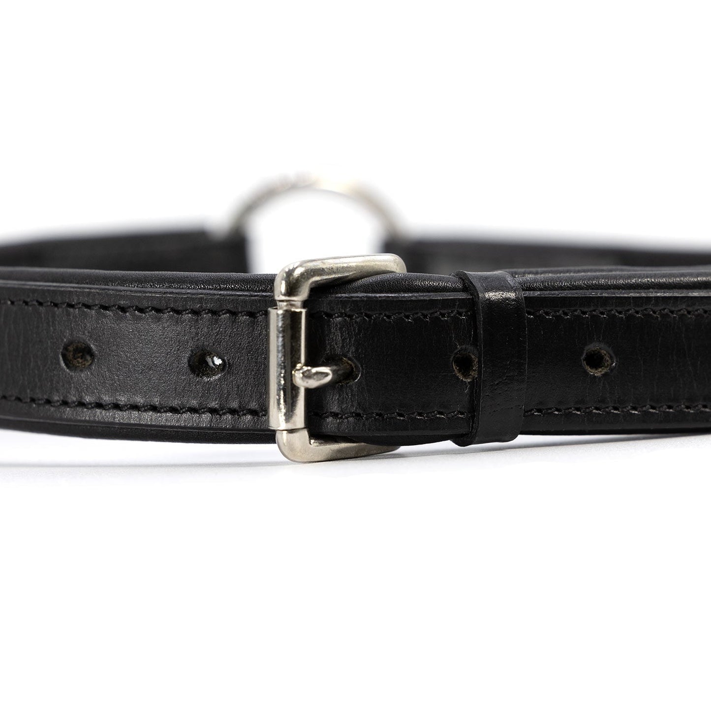 Premium Padded Black Leather Dog Collars Adjustable - lifestyle view