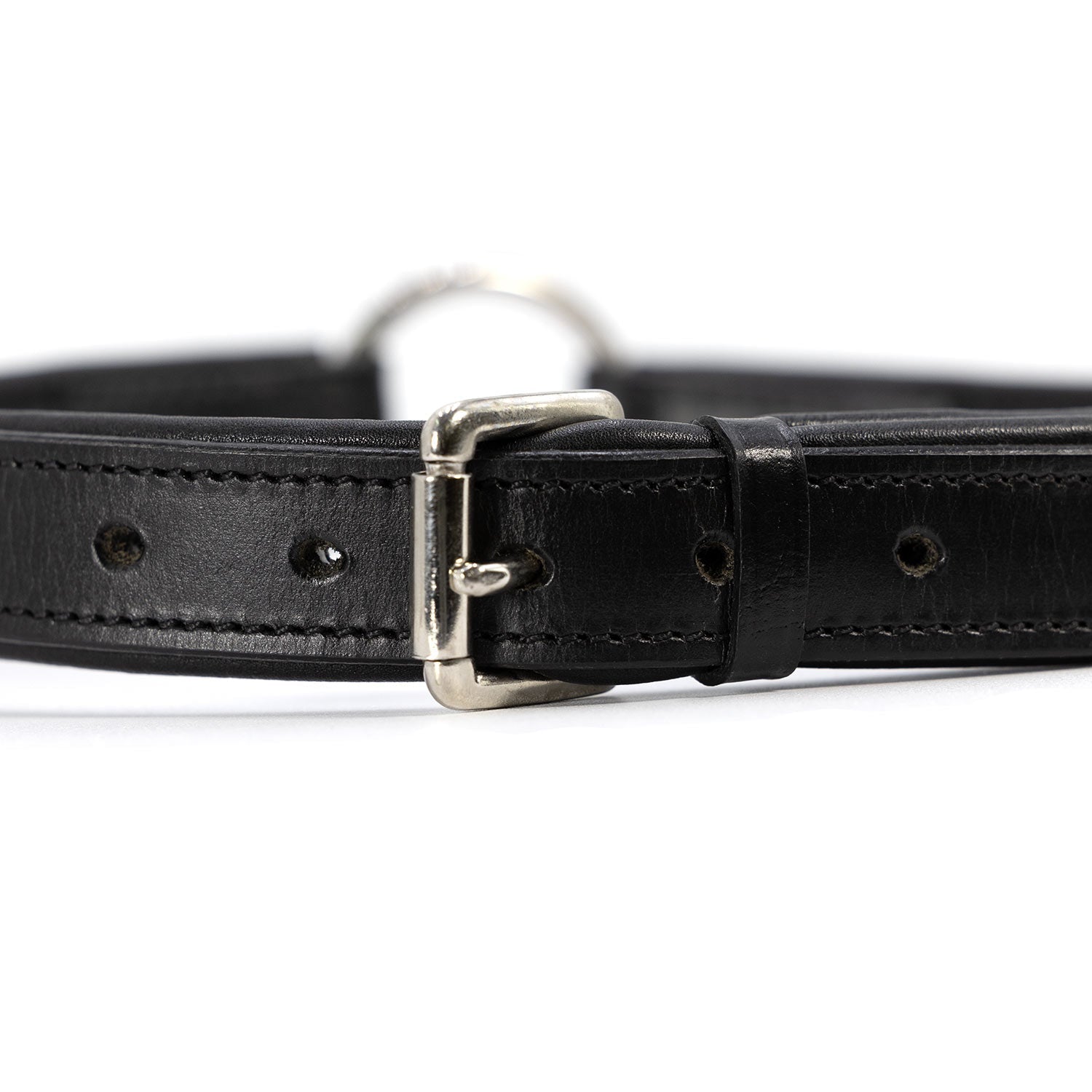 Premium Padded Black Leather Dog Collars Adjustable - lifestyle view