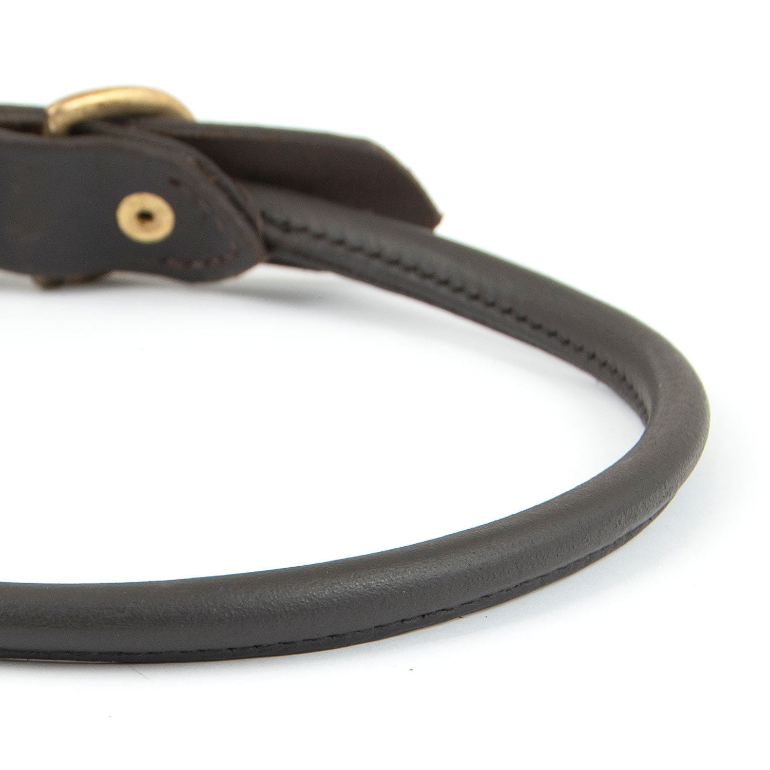 Rolled Leather Dog Collars With Brass Hardware Dog - gallery image 7