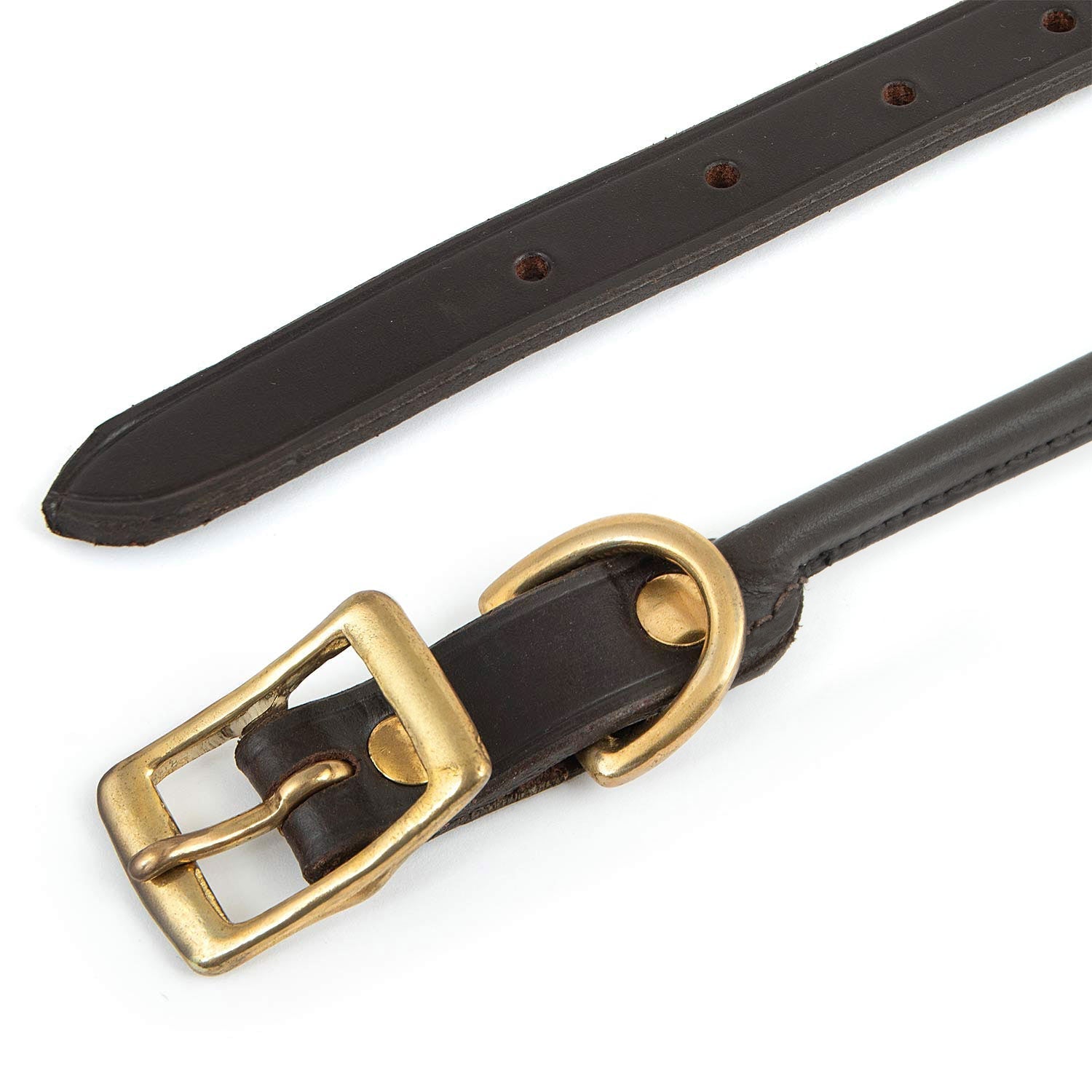 Rolled Leather Dog Collars With Brass Hardware Dog - close up view