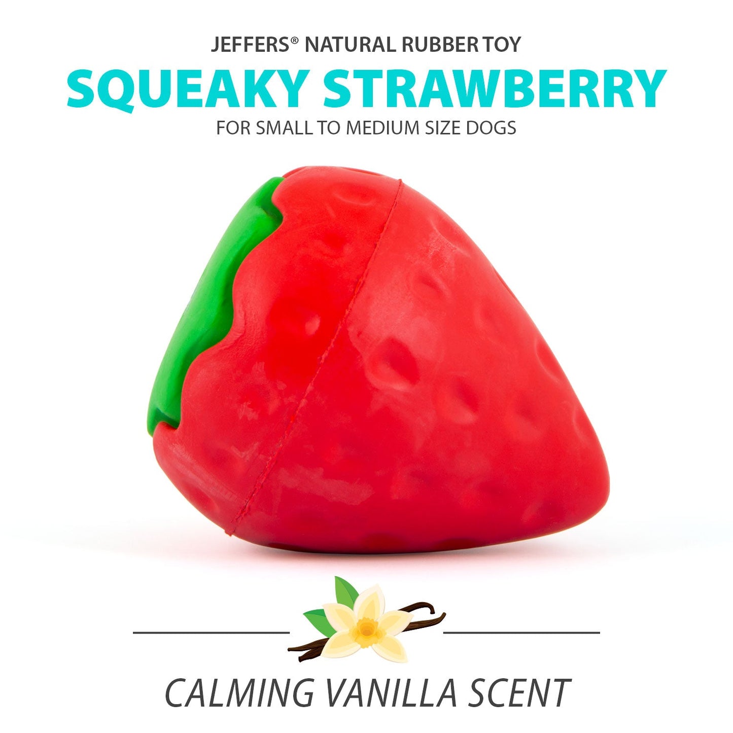 Squeaky Strawberry Natural Rubber Dog Dental Chew - detail view