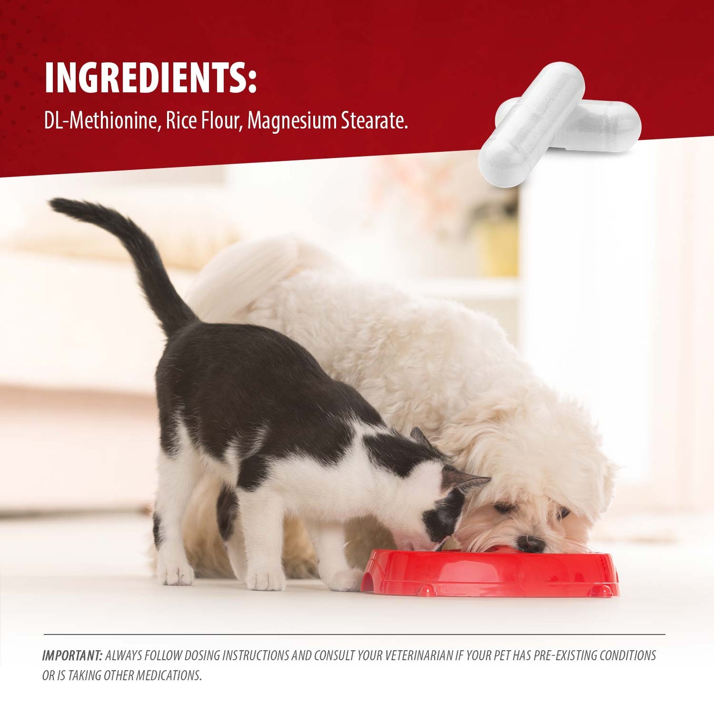Uracid Dl Methionine 0 2G Capsules For Dogs Cats Pet - gallery image 5