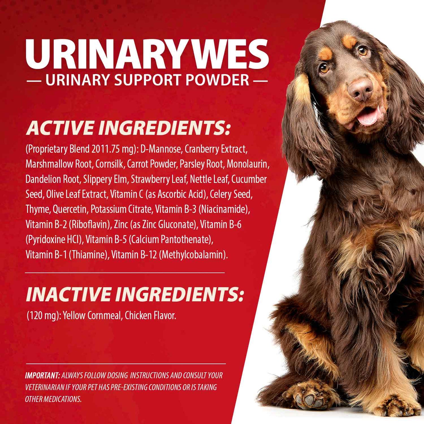 Urinarywes Urinary Support Powder With D Mannose For - gallery image 7